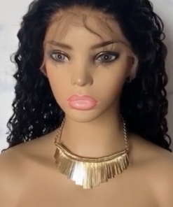 fancyNflawless   13/6 wetNwavy lace front  wig